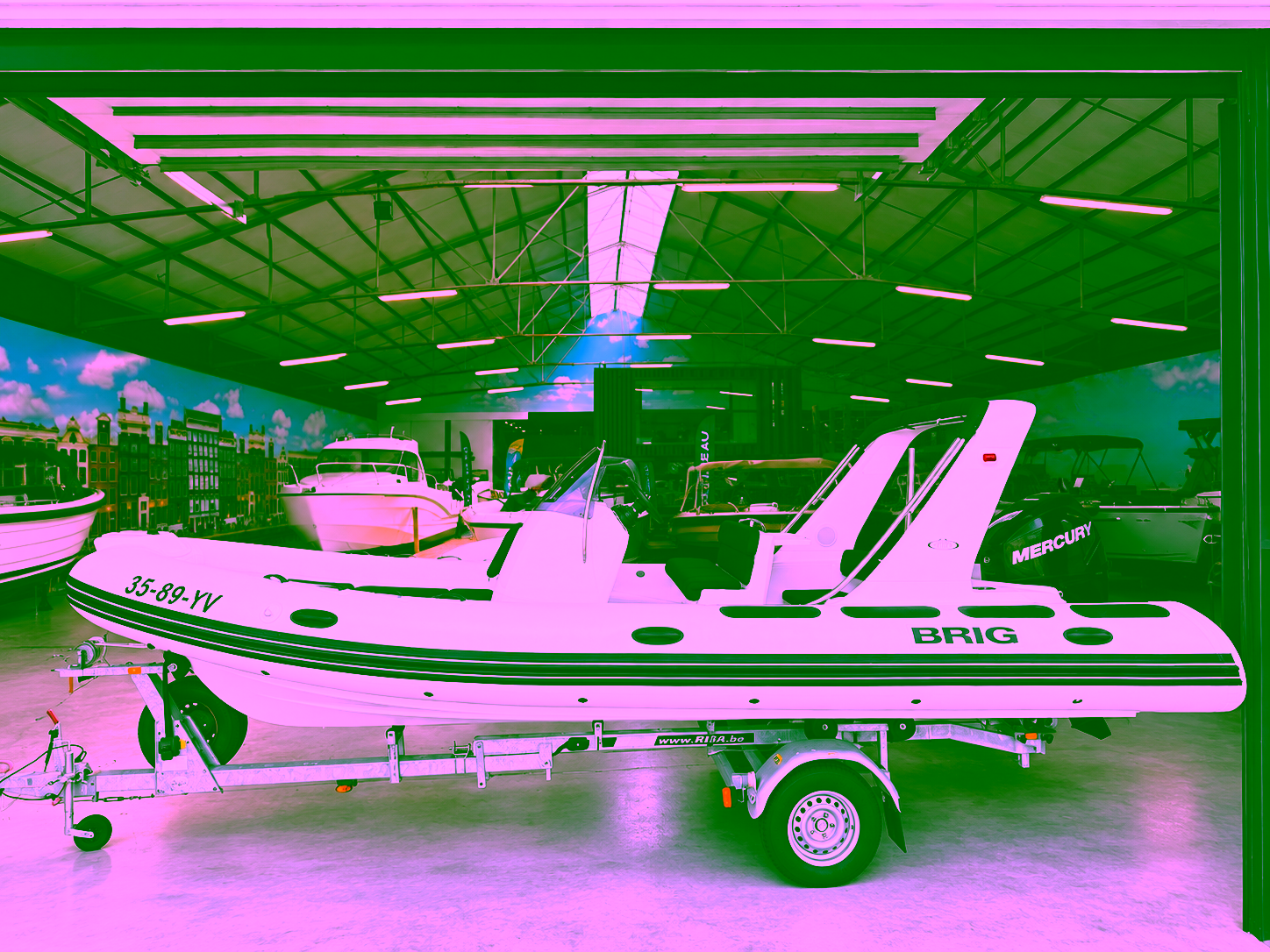 Vaartlander Boats - Vaartlander Boats BRIG Eagle 650 2016